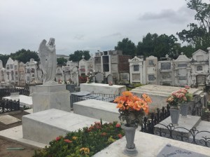 The cemetery, there is a ton of stray cats that live here.  I was wondering, if they have favorite graves to sit on.